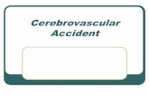 Cerebrovascular Accident - challengesandinitiatives.trubox.ca · Nervous System Anatomy and Physiology Review The nervous system acts as a coordinated unit both structurally and functionally