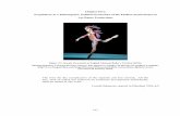 Figure 5.1: Ksenia Ovsyanick in English National Ballet’s ...epubs.surrey.ac.uk/809818/8/Terpsichore in Jimmy Choo_Manrutt Wongkaew... · in the end credits of the short-film presentation.