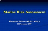Marine Risk Assessment - dvikan.no · Risk assessment is a review as to acceptability of risk based on comparison with risk standards or ... the most commonly used HAZID techniques