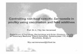 Controlling non-host specific Salmonella in poultry …...Controlling non-host specific Salmonella in poultry using vaccination and feed additives Prof. Dr. Ir. Filip Van Immerseel