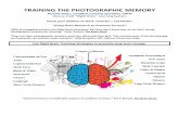 TRAINING THE PHOTOGRAPHIC MEMORY - michn.org · Photographic memory for learning,” Peter Russell, The Brain Book. “Boys use their photographic memory much less efficiently than