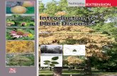 Introduction to Plant Diseasesextensionpublications.unl.edu/assets/pdf/ec1273.pdf · 2015-09-10 · plant pathology, only plant disease pathogens will be discussed. Pathogens can