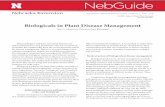 Biologicals in Plant Disease Management (G2290)extensionpublications.unl.edu/assets/pdf/g2290.pdfoptions for disease management is efficient, economical, and very attractive for better