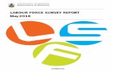 LABOUR FORCE SURVEY REPORT May 2018 · 2018-11-27 · 1 . PREFACE . This report of the Labour Force Survey (LFS) is based on data collected from the May 2018 LFS. It presents survey