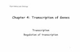 3. Basic Genetics Plant Molecular Biologycontents.kocw.or.kr/document/Week6_Regulation of transcription.pdf · In prokaryotes, genes with related functions often are present in coordinately