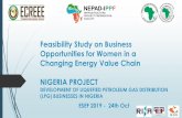 Feasibility Study on Business Opportunities for Women in a … · Feasibility Study on Business Opportunities for Women in a Changing Energy Value Chain NIGERIA PROJECT DEVELOPMENT