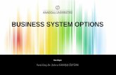 BUSINESS SYSTEM OPTIONS - endustri.eskisehir.edu.trendustri.eskisehir.edu.tr/zkamisli/ENM407A/icerik/ENM407_Chapter 5 _ .pdf · BUSINESS SYSTEM OPTIONS (BSOs) The modelling takes