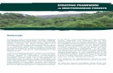 STRATEGIC FRAMEWORK ON MEDITERRANEAN STRATEGIC FRAMEWORK ON MEDITERRANEAN FORESTS ... This pressure