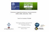 Common magnetoresistance measurements: AMR, GMR, …magnetism.eu/esm/2015/slides/tiusan-slides1.pdf · 2018-04-03 · Common magnetoresistance measurements: AMR, GMR, AHE/SHE, TMR