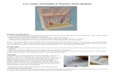 CUT-AND-ASSEMBLE PAPER SKIN MODELellenjmchenry.com/.../uploads/2016/12/Paper-Skin-Model.pdf · 2016-12-19 · CUT-AND-ASSEMBLE PAPER SKIN MODEL Background information: This activity