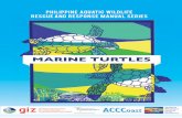 MARine tuRtleSd6mw2g7x24h5i.cloudfront.net/Wildlife/Marine Turtles Response Manual.pdf · Ma. Vivian Obligar-Soriano Provincial Environment and Natural Resources Office - Palawan