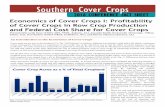 Southern Cover Crops - USDA · 17 bu/acre, sold at $36/bu, and crimson clover yields of at least 150 lbs/acre, sold at $2/lb could be profitable. It is important to understand that