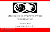 Strategies to Improve Swine Reproduction · Pigs born live / female farrowed 13.23 12.89 12.01 11.04 Pigs weaned / female farrowed 11.86 11.28 10.47 9.57 ... Based on Swine Management