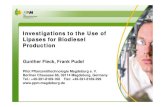 Investigations to the Use of Lipases for Biodiesel …...Investigations to the Use of Lipases for Biodiesel Production Gunther Fleck, Frank Pudel Pilot Pflanzenöltechnologie Magdeburg
