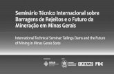 Tailings dams: Design, construction and operation ...portaldamineracao.com.br/wp-content/uploads/2019/04/06-suzanne-lacasse.pdf · Tailings dams: Design, construction and operation