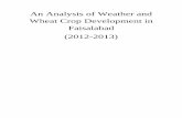An Analysis of Weather and Wheat Crop …namc.pmd.gov.pk/assets/crop-reports/1039659165Seasonal...Institute Faisalabad. Besides this other important feature of under study crop i.e.