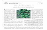 Boron Deficiency of Papaya - University of Hawaii · 8+²&TA+R Boron Deficiency of Papaya PD- ³ -uly 2 Symptoms Symptoms of a severe boron deficiency are most evident in fully grown