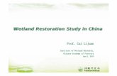 Wetland Restoration Study in Chinawli.wwt.org.uk/wp-content/uploads/2013/07/CuiLijian_Restoration... · - Ç J0 .D0¦L $¯ `.D0¦ p Institute of Wetland Research, CAF Characteristics
