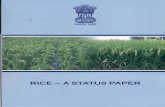 STATUS PAPER ON RICE - drdpat.bih.nic.indrdpat.bih.nic.in/Downloads/Status-Paper-on-Rice.pdf · is my great pleasure to express my sincere thanks Shri Vipin Kumar, Assistant Director,