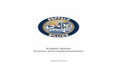Buffalo Billion Process and Implementation...Buffalo Billion Process and Implementation Page 3 of 12 Implementation Leads with problem-solving, planning, support and guidance. The