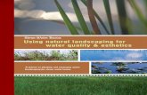 Storm Water Basins: Using Natural Landscaping for Water ......Storm Water Basins Using natural landscaping for water quality & esthetics. storm water basins W ... precipitation of