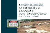(UXO): (UXO) An Overview Rockets Guided missiles Projectiles Mortars Projected grenades Rifle grenades