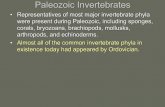 Paleozoic Invertebrates - Lynn Fuller's Pagelynnrfuller.com/uploads/3/1/3/5/3135168/ch12part1keynote... · 2015-03-18 · Phylum Mollusca • Chief characteristics: – Soft body