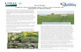 Case Study: Legume Inter-Seeding Field Trials, Lake County ... · Page 4 Case Study: Legume Inter-Seeding Continued Thus far the legume inter-seeding trials have successfully demonstrated