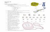 Biology 30 DNA - Prairie Spirit BlogsThere are 61 codons for amino acids, and each of them is "read" to specify a certain amino acid out of the 20 commonly found in proteins. One codon,