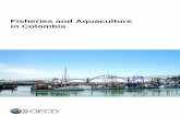 Fisheries and Aquaculture in Colombia - OECD · Managing fisheries and aquaculture in Colombia is a particularly challenging task given the variety, richness and geographical spread