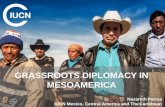 GRASSROOTS DIPLOMACY IN MESOAMERICA · MESOAMERICA. Nazareth Porras IUCN Mexico, Central America and TheCaribbean. CONTENTS. INTERNATIONAL UNION FOR CONSERVATION OF NATURE. 2. 1.