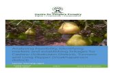 Analysing Feasibility, Identifying markets and ... · Identifying markets and establishing linkages for Cashew (Srikakulam District), Turmeric and Long Pepper (Visakhapatnam district)”