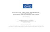 Bioanalytical separation using capillary electrophoresis1148508/FULLTEXT01.pdf · Bioanalytical separation using capillary electrophoresis - applications with microbubbles and proteins