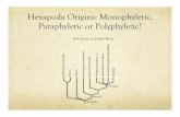 Hexapoda Origins: Monophyletic, Paraphyletic or Polyphyletic? · Reduced Data Set What’s the costs & benefits of a reduced data set? 15 vs. 35 taxa? which could potentially cause