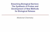 Breaching Biological Barriers: The Synthesis of Probes and … · QuickTime and a TIFF (Uncompressed) decompressor are needed to see this picture. Celia Henry, C&EN, August 25, 2003