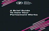 Houses of the Oireachtas - A Brief Guide To How Your ... · Houses of the Oireachtas A Brief Guide To How Your Parliament Works Introduction The language used by our Parliament should