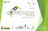 2nd Bioenergy Week: Small-Scale Cellulosic Ethanol Fuel ......2nd Bioenergy Week: Small-Scale Cellulosic Ethanol Fuel from Sawdust & Water Hyacinth Nigeria Example Maputo, Mozambique,