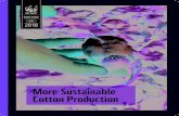 More Sustainable Cotton Production More Sustainable Cotton Production . BROCHURE ON MORE SUSTAINABLE