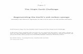 The Virgin Earth Challenge - irp-cdn.multiscreensite.com · The Virgin Earth Challenge Regenerating the Earth’s soil carbon sponge Humanity’s last chance to regenerate its soils