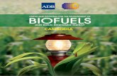 Status and Potential for the Development of Biofuels and ... · Status and potential for the development of biofuels and rural renewable energy: Cambodia. Mandaluyong City, Philippines: