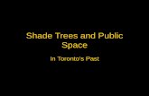 Shade Trees and Public Space - York University trees and public space.pdf · Public Space • The city’s most characteristic type of space • Accommodates the public • May be