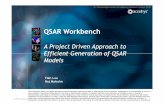 QSAR Workbench - Unistrainfochim.u-strasbg.fr/CS3_2010/OralPDF/accelrys_CS3_2010.pdf · ' 2009 Accelrys, Inc. QSAR Workbench A Project Driven Approach to Efficient Generation of QSAR