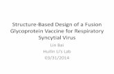 Structure-Based Design of a Fusion Glycoprotein Vaccine ...Structure-Based Design of a Fusion Glycoprotein Vaccine for Respiratory Syncytial Virus Lin Bai Huilin Li’s Lab . 03/31/2014