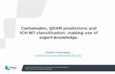 Carbamates, QSAR predictions and ICH M7 classification ... QSAR predictions and ICH M7...Carbamates, QSAR predictions and ICH M7 classification; making use of expert knowledge. Rachel