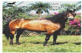 MORGAN SINGLE-FOOTING HORSE ASSOCIATION · 2010-08-17 · Breeding Gaited Morgans since Ken Thomas, 650 E 1070 N. , Richfield, UT. 84701 DIA H Dandy Walker (DIA H Major Boy X Red