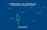 MMigration in Maldives igration in Maldives · Protection Agency, ADK Hospital, Indira Gandhi Memorial Hospital, Ministry of Foreign Affairs, Ministry of Education, Maldives Association