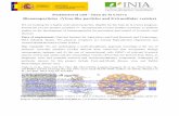 Postdoctoral call Juan de la Cierva-EB · Postdoctoral call - Juan de la Cierva Bionanoparticles (Virus like particles and Extracellular vesicles) We are looking for a highly motivated