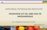 OVERVIEW OF OIL AND GAS IN MOZAMBIQUE - esi-africa.comConstruction of natural gas pipelines and LNG facilities Distribution systems (villages and remote locations) Local processing