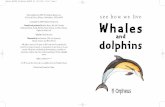 Whales MASTER UG · Why do dolphins leap? 6 How do orcas hunt? 14 What do humpback whales eat? 20 Why does a sperm whale dive so deep? 26 What does a narwhal use its tusk for? 28
