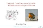 Magnetic Orientation and RF Fields: Possible Mechanisms of ...madrid.ccs.neu.edu/nsfbw11/wp-content/uploads/2011/07/Thorsten-Ritz1.pdf · Thorsten Ritz Magnetic Orientation and RF